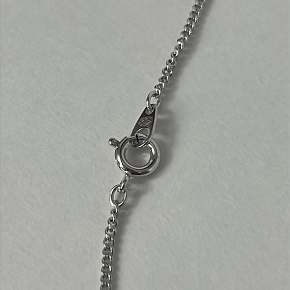 Ariki Paua Shell Palladium Plate Necklace & Pendant from New Zealand - Picture 9 of 9